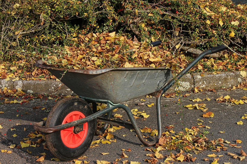 wheelbarrows-3807445_960_720